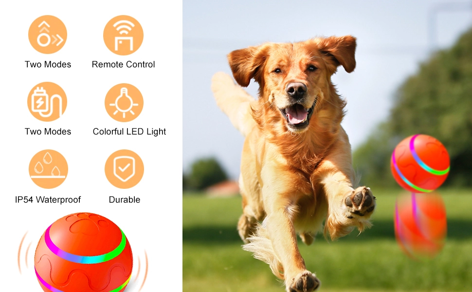 2024 New Upgrade Interactive Dog Ball Toy Rechargeable Self Rolling Ball Motion Activated Remote Control Pet Toys 1