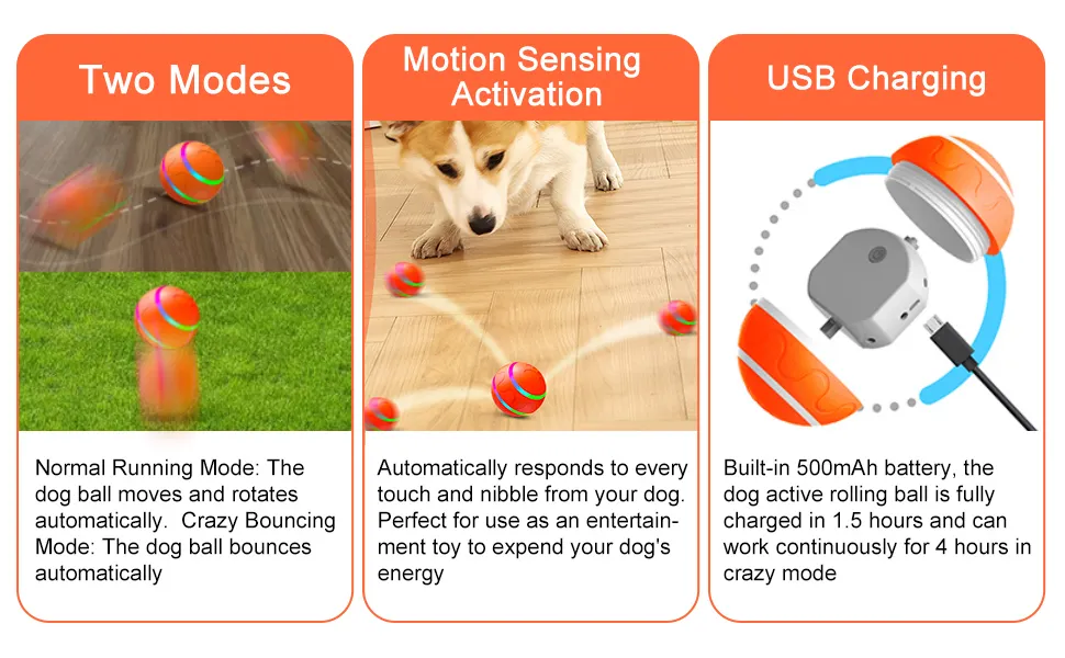 Remote Control Rechargeable Self Rolling Ball Interactive Dog Toy with LED Lights 3