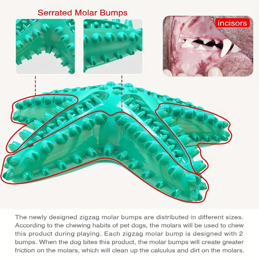 Pet Chew Toys Seastar Shaped Dog Molar Toothbrush for Teeth Cleaning Toys 5