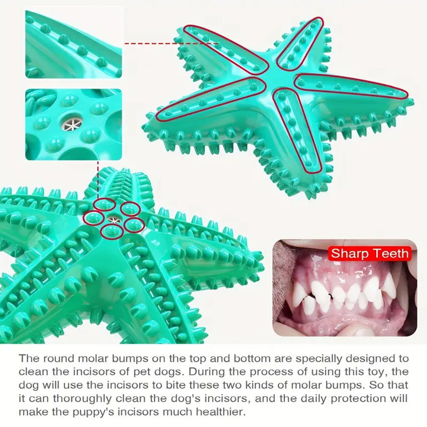 Pet Chew Toys Seastar Shaped Dog Molar Toothbrush for Teeth Cleaning Toys 4