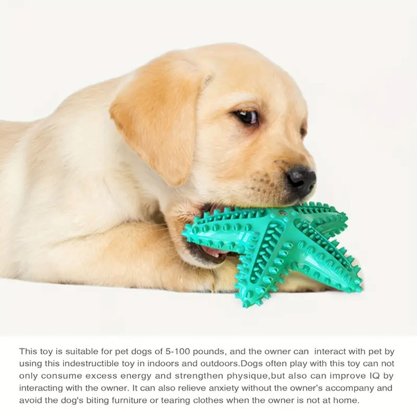 Pet Chew Toys Seastar Shaped Dog Molar Toothbrush for Teeth Cleaning Toys 7