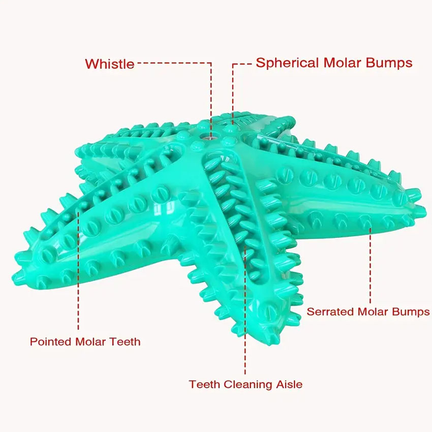 Pet Chew Toys Seastar Shaped Dog Molar Toothbrush for Teeth Cleaning Toys 9