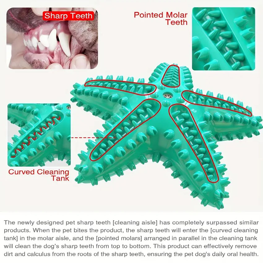 Pet Chew Toys Seastar Shaped Dog Molar Toothbrush for Teeth Cleaning Toys 11