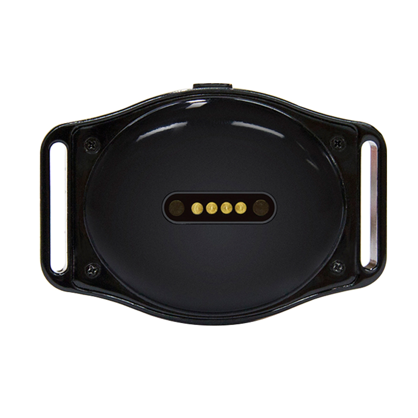 ROADREIGN - Super Waterproof PET Dog GPS Tracking Collar Pet Collars&Leashes 4