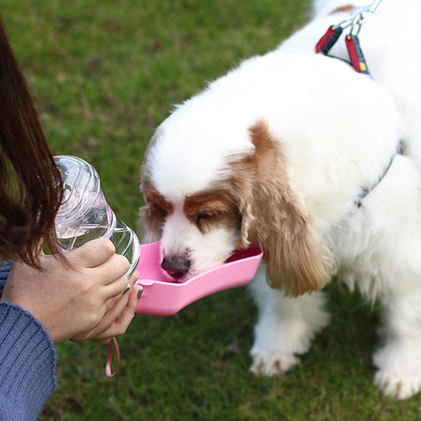 Botella de agua portátil de plástico de 500 ml para pasear a tu mascota. 1