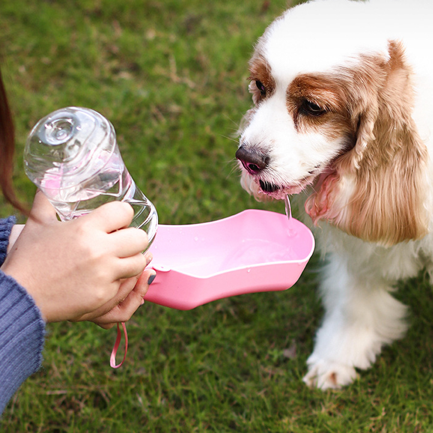 500mL Portable Plastic Dog Water Bottle For Pet Walking 7