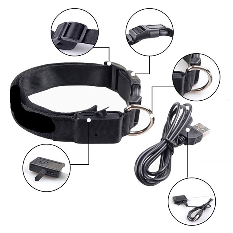 ROADREIGN - Wholesale USB Charging Or Battery Night Reflection LED Light Pet Dog Collar 9