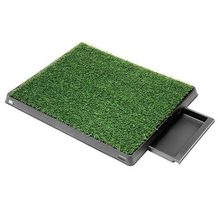 Customized Dog potty tray plastic Pet indoor toilet for dog training pad manufacturers From China | Roadreign 2