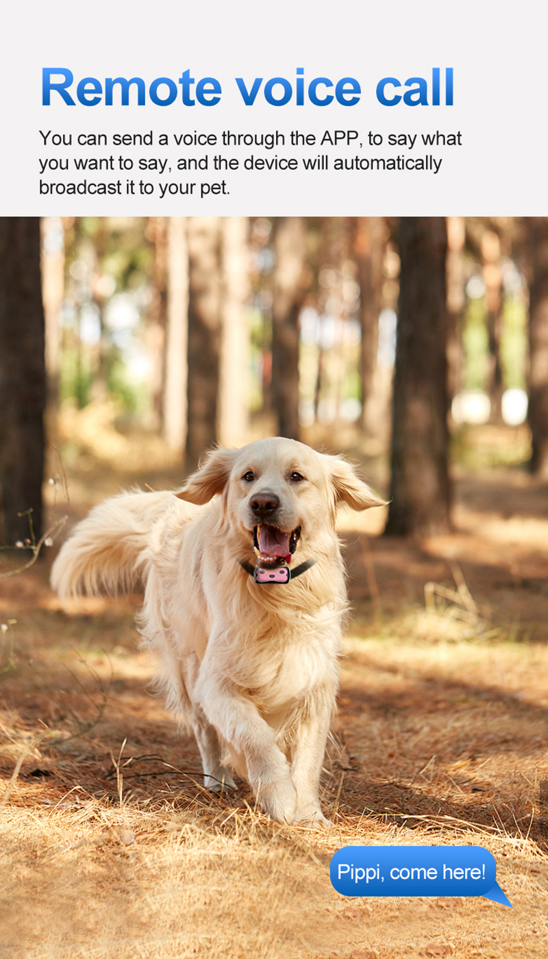 Pet Anti-loss Locator 4G GPS Tracking Collar Waterproof Dog Tracer For Walking 12