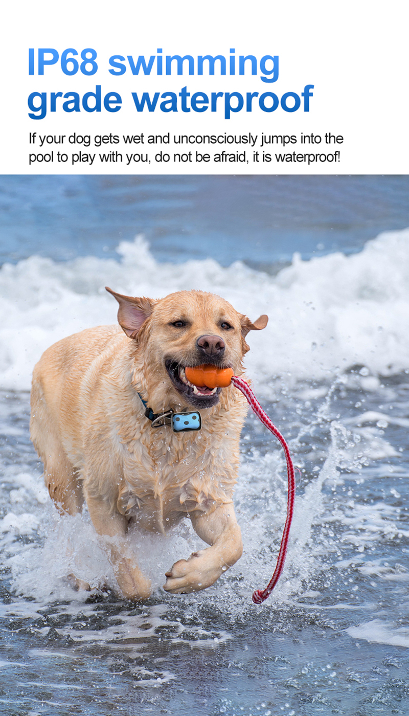 Pet Anti-loss Locator 4G GPS Tracking Collar Waterproof Dog Tracer For Walking 11