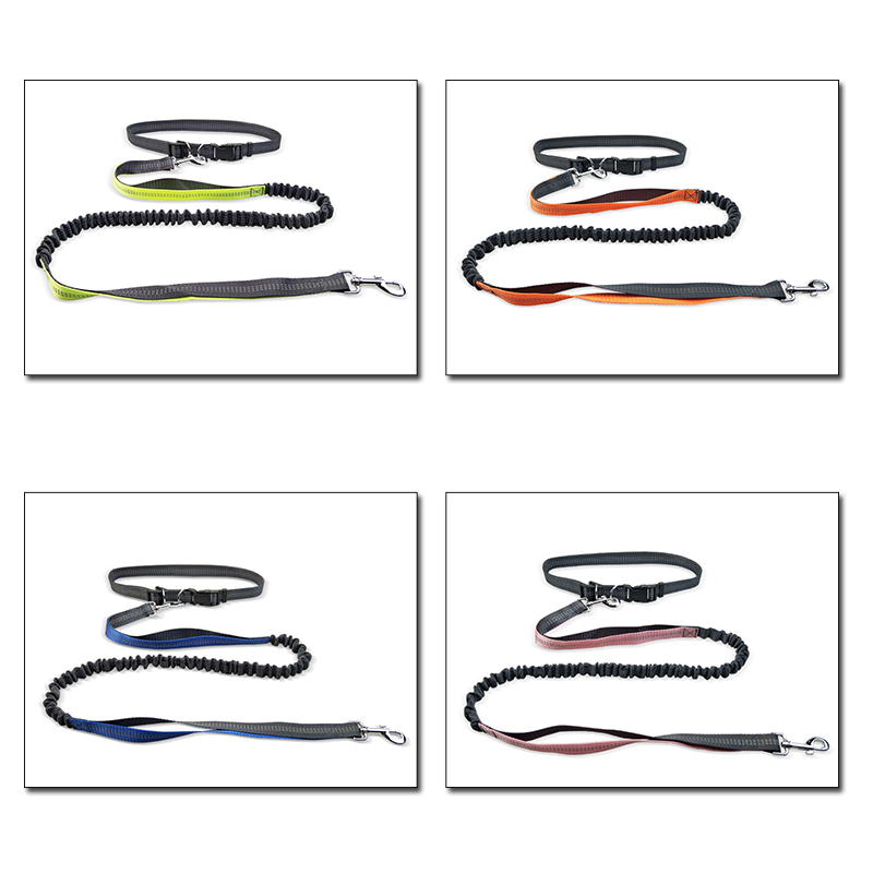 Quality Running Dog Leash Hands Free Retractable Jogging Pet Leashes Manufacturer | Roadreign 8