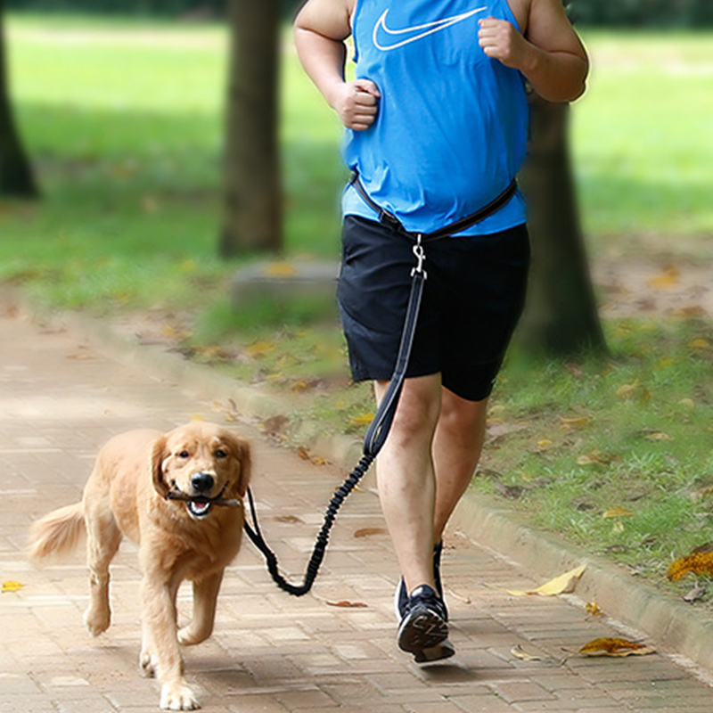 Correa retráctil de alta calidad para correr, manos libres, para perros | Roadreign 1