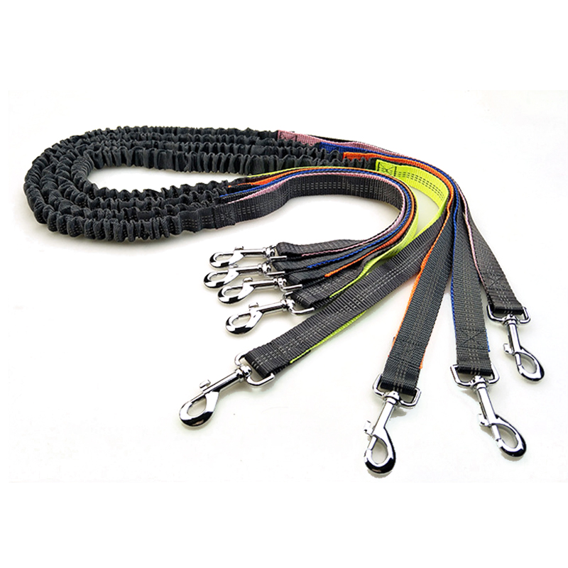 Quality Running Dog Leash Hands Free Retractable Jogging Pet Leashes Manufacturer | Roadreign 7