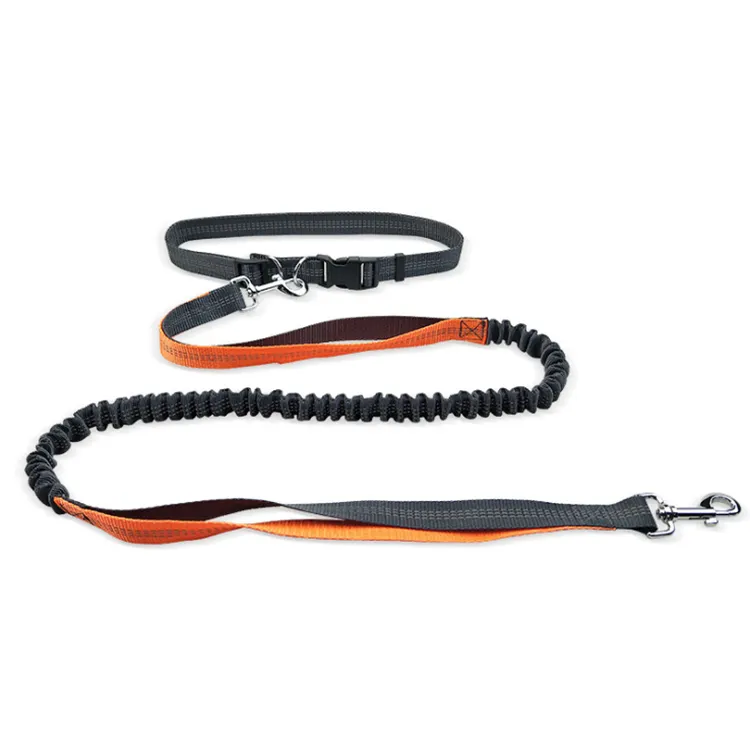 bulk dog leashes wholesale at Wholesale Prices | Roadreign 3