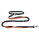 bulk dog leashes wholesale at Wholesale Prices | Roadreign 3