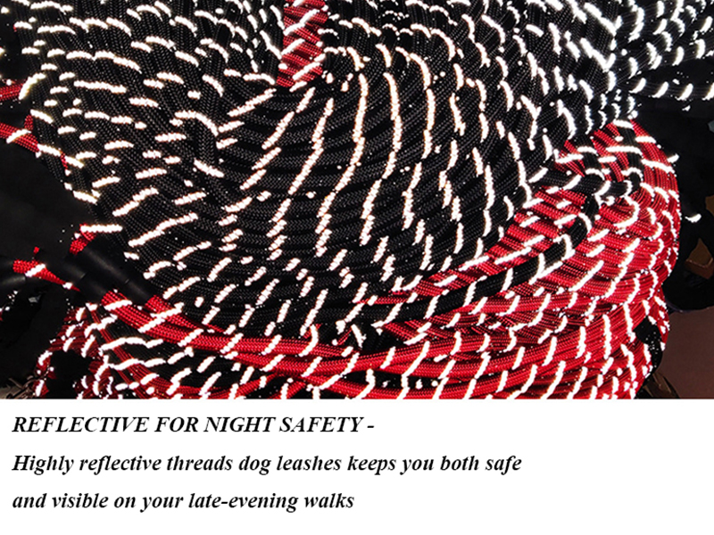 Nylon Dog Leash With Comfortable Padded Handle And Highly Reflective Threads manufacturers From China | Roadreign 13