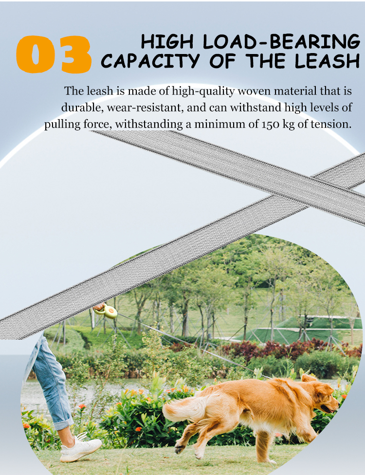 bulk dog leashes at Wholesale Prices | Roadreign 7