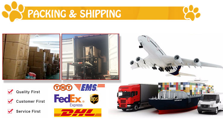 ROADREIGN - High Quality Eco-Friendly Plastic Travel Cat Carrier Pet Carriers 19