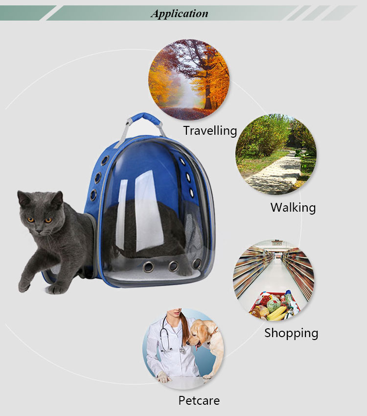 New Design Expandable Transparent Plastic Pet Carrier Backpack Bag