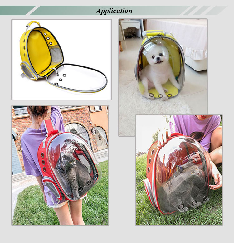 New Design Expandable Transparent Plastic Pet Carrier Backpack Bag