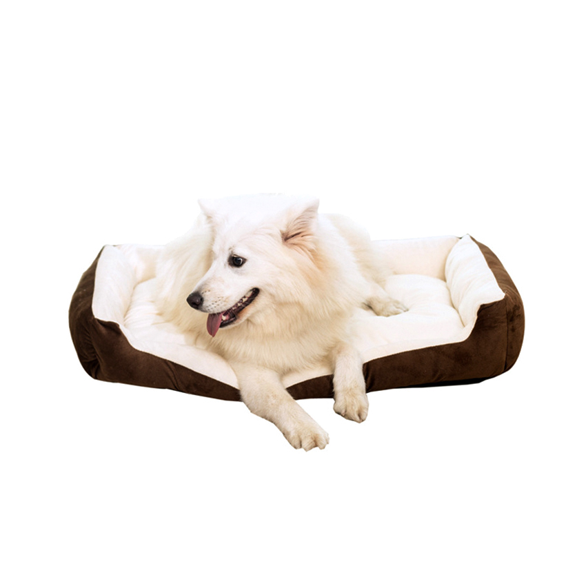 ROADREIGN - Vente en gros de chemises de luxe imperméables en coton pour chiens et mascottes - Tous les produits 4