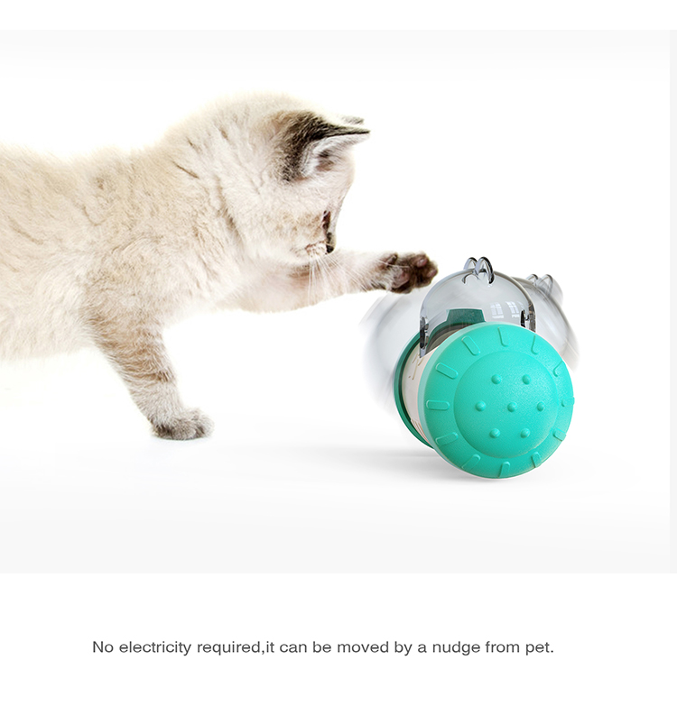 ROADREIGN - 2021 Nuevos y populares juguetes interactivos de plástico para gatos Todos los productos 5