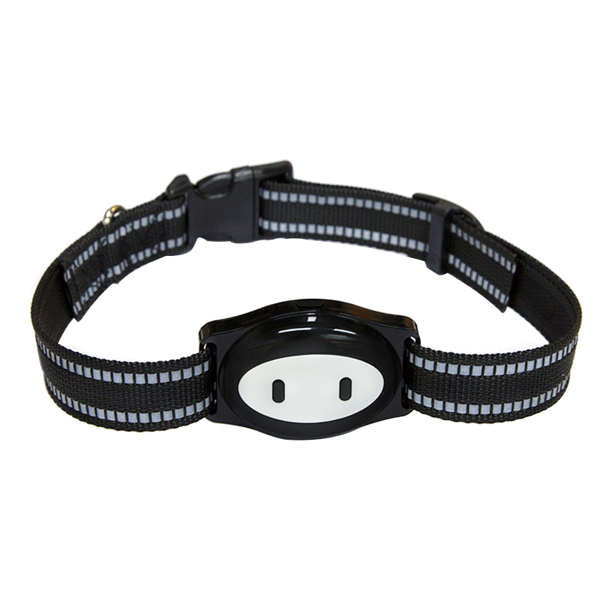 ROADREIGN - Traceur GPS pour animaux de compagnie avec batterie gel polymère 420 mA - Tous les produits 6