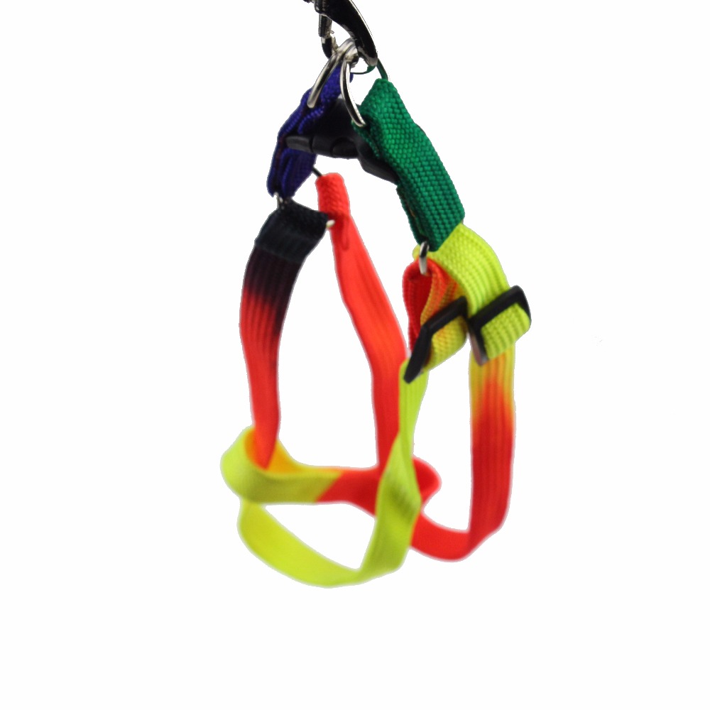 ROADREIGN - Vente en gros de laisses et colliers pour chiens en nylon de haute qualité 4