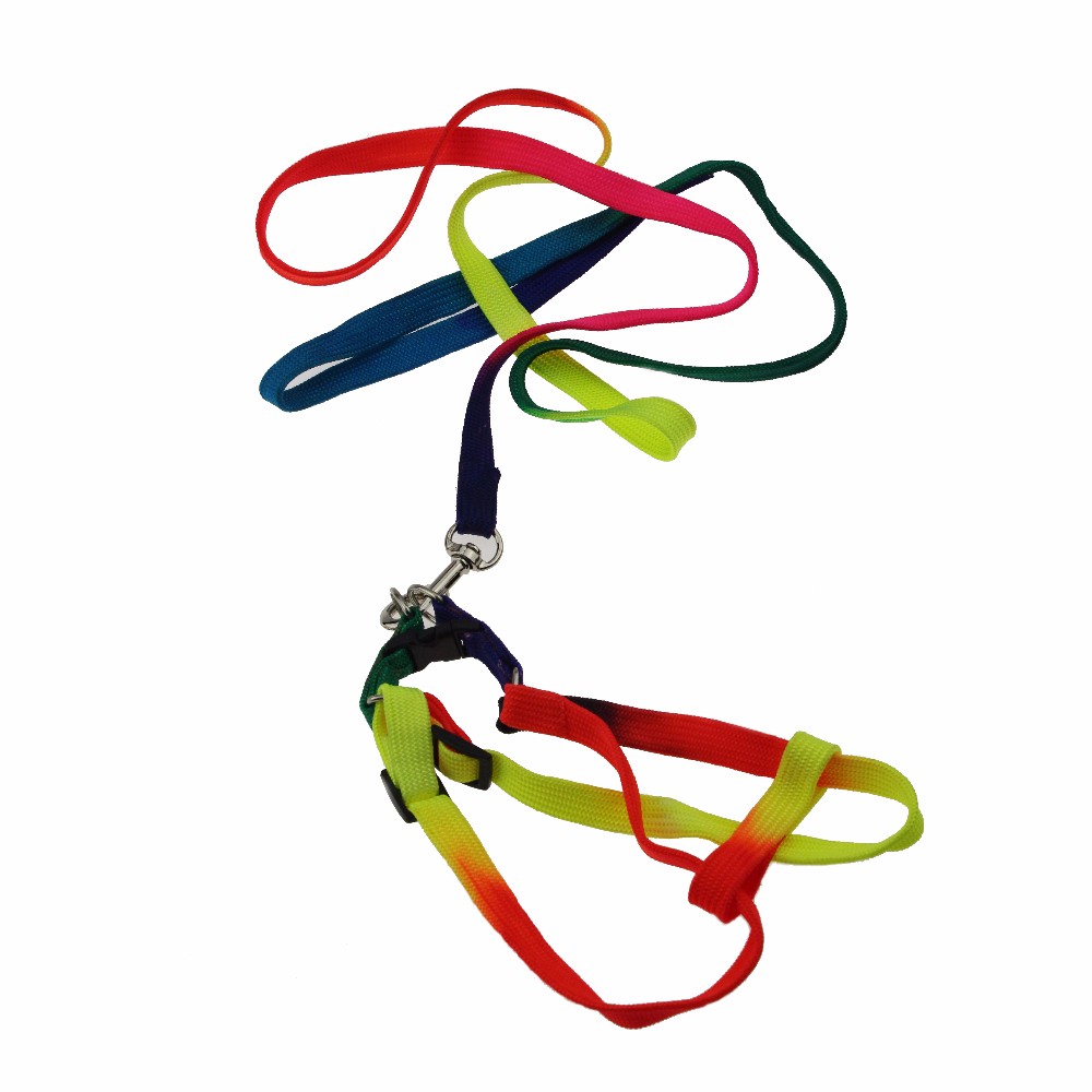 ROADREIGN - Factory Direct Sale Cheap Durable Nylon Dog Leash And Collar All Products 7