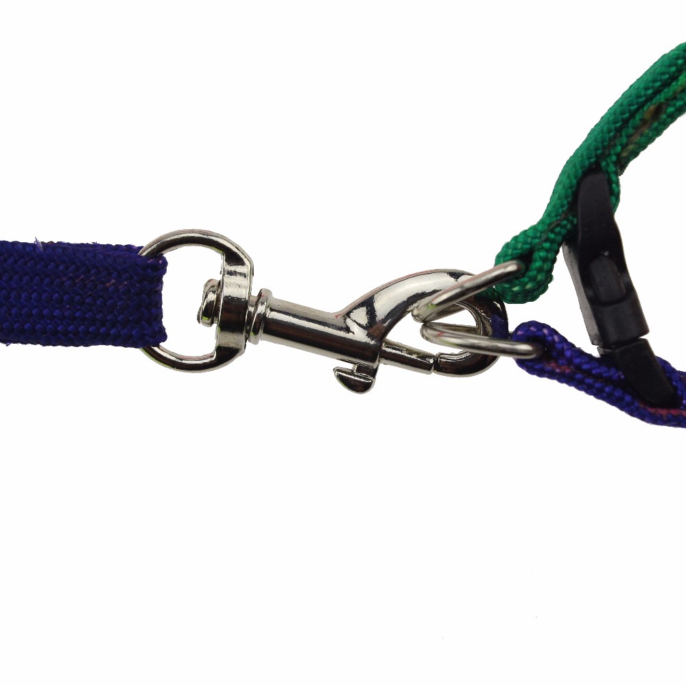 ROADREIGN - Factory Direct Sale Cheap Durable Nylon Dog Leash And Collar All Products 9
