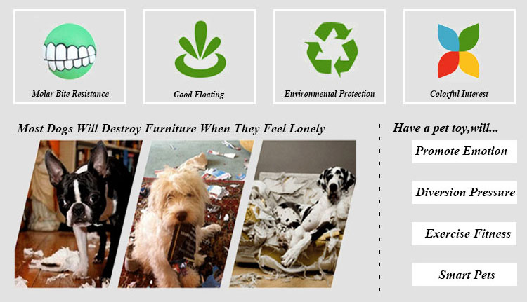 ROADREIGN - High Quality TPR Dog Flying Disc Toy Pet Toys 10