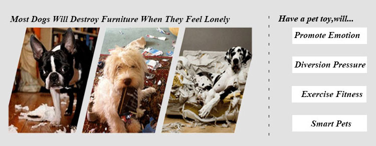 ROADREIGN - Jouets à mâcher pour chiens en corde de coton en gros 10