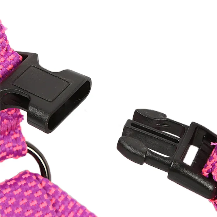 Roadreign | Top personalised dog harness company 3