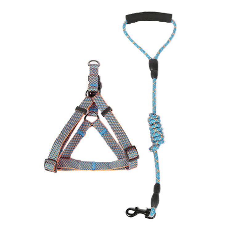 Roadreign | Top personalised dog harness company 9