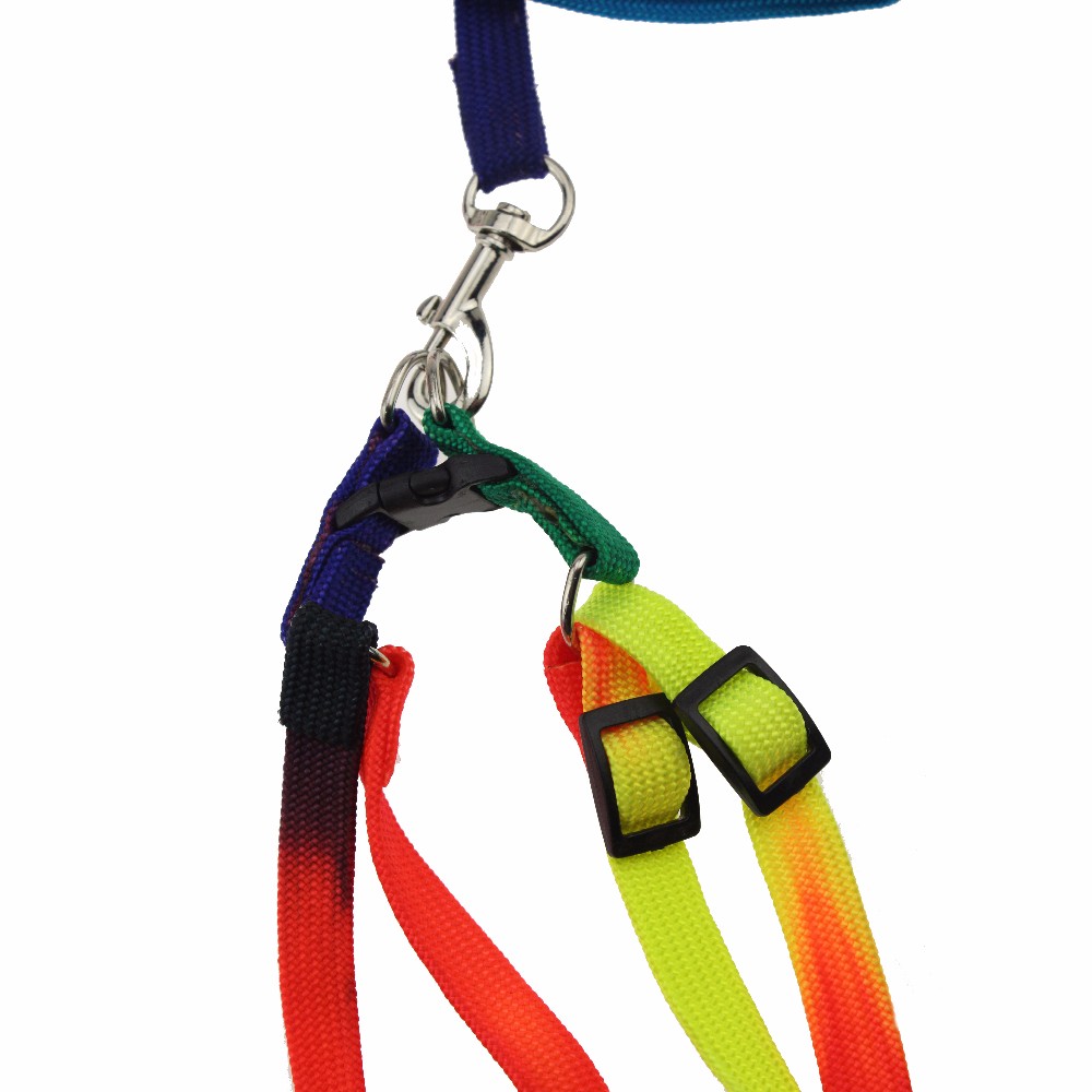ROADREIGN - Venta directa de fábrica de correas y collares de nailon para perros, duraderos y económicos. Todos los productos. 2