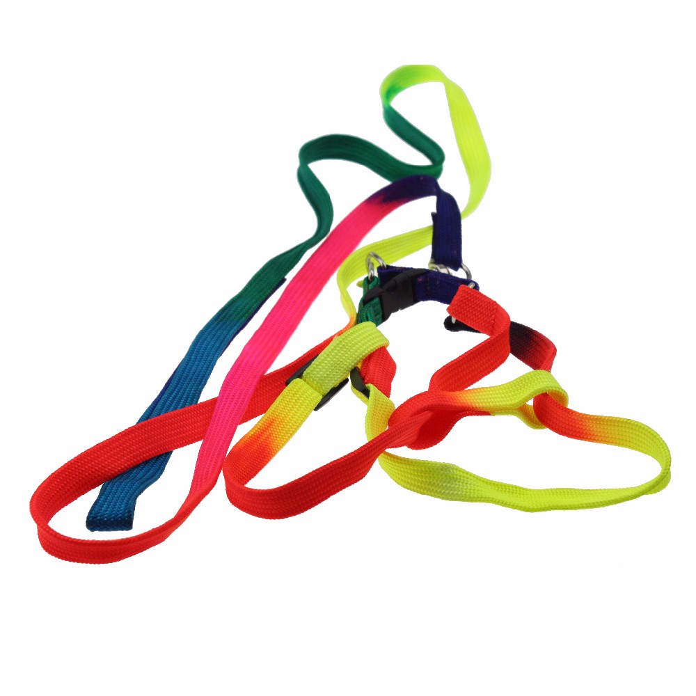 ROADREIGN - Venta directa de fábrica de correas y collares de nailon para perros, duraderos y económicos. Todos los productos. 3
