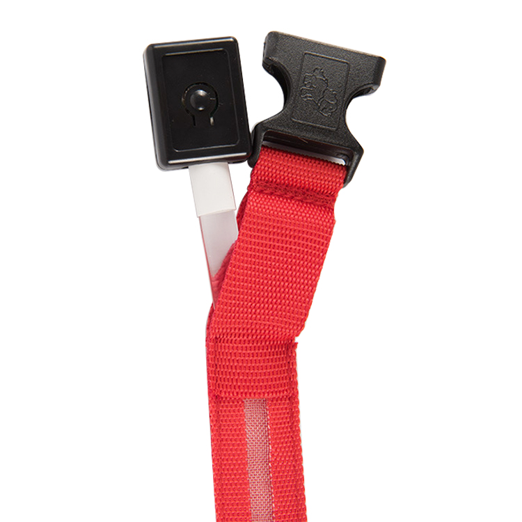 ROADREIGN - Groothandel in polyester hondenhalsbanden met nachtreflectie en LED-verlichting. Alle producten. 3