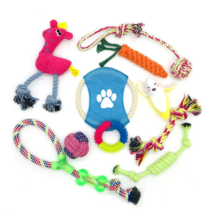 ROADREIGN - China Manufacturer Hot Sales Free Combination Pet Chew Dog Toy Pack All Products 6