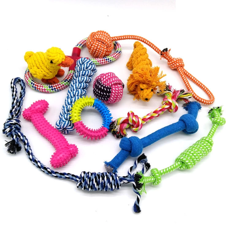 ROADREIGN - Factory Price Wholesale Free Combination Pet Chew Toys Dog Puzzle Toy All Products 1