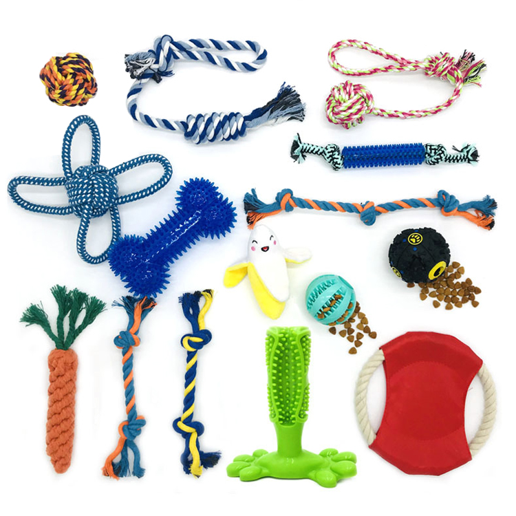 ROADREIGN - Hot Selling Combination 5-15 Packs Set Rubber And Cotton Rope Dog Interactive Toy All Products 1