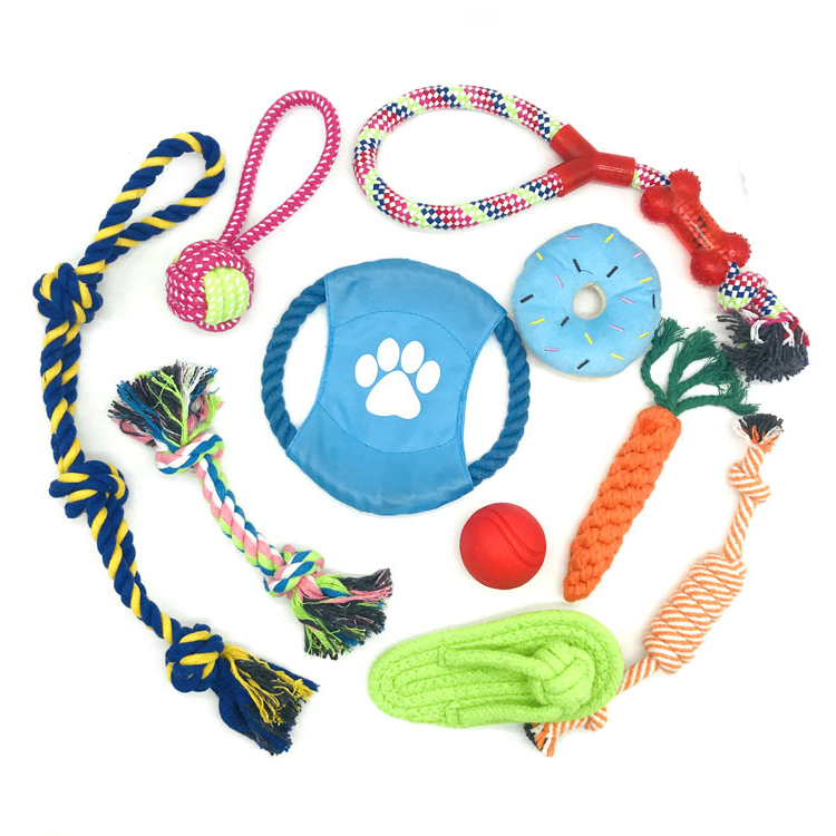 ROADREIGN - Factory Price Wholesale Free Combination Pet Chew Toys Dog Puzzle Toy All Products 6