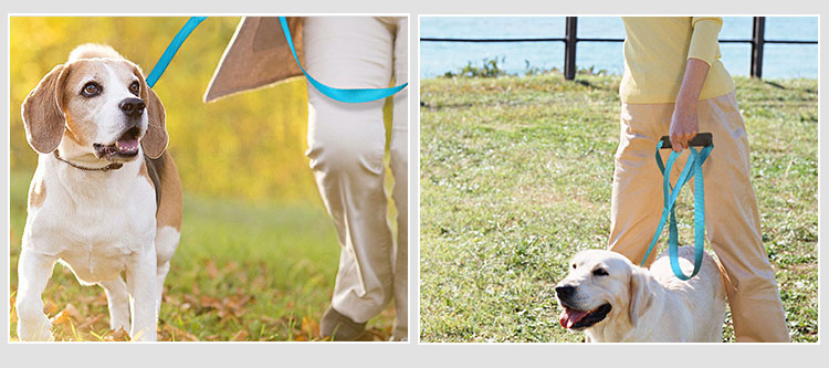 ROADREIGN - High Quality Custom Nylon Dog Leash Pet Collars&Leashes 11