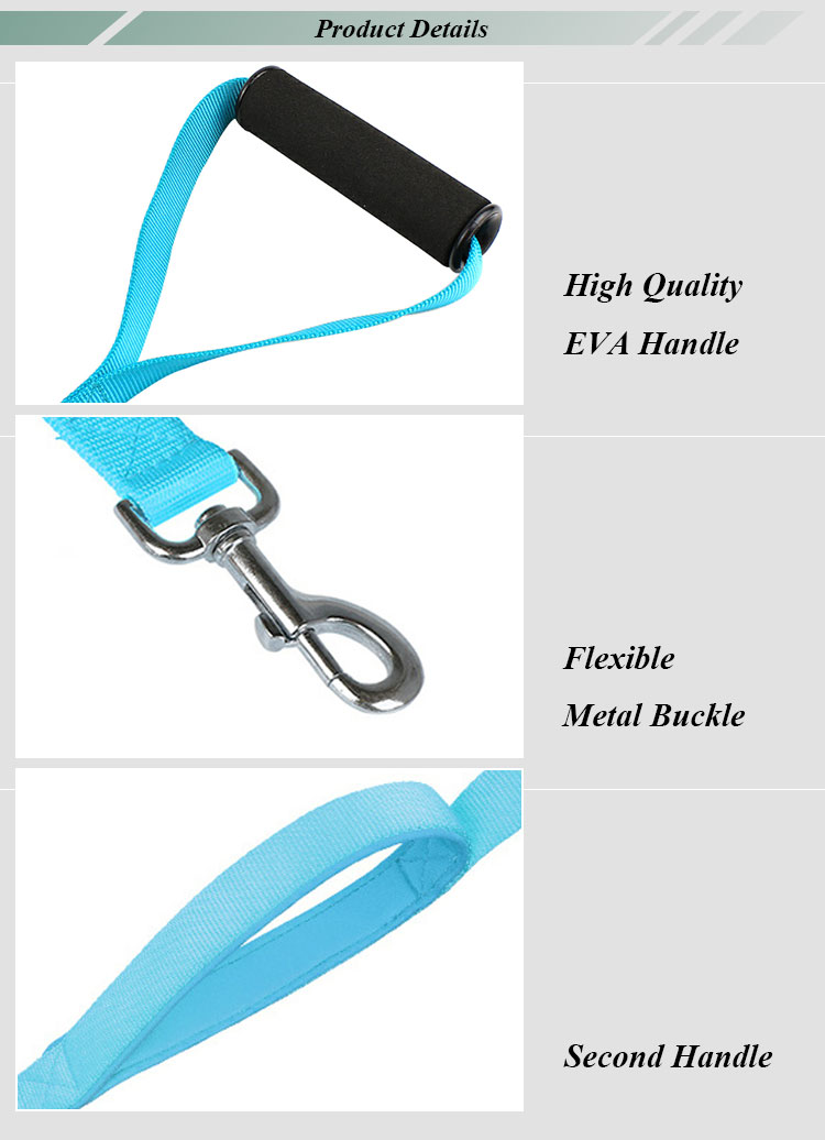ROADREIGN - High Quality Custom Nylon Dog Leash Pet Collars&Leashes 9