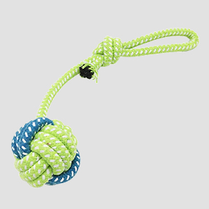 ROADREIGN - Eco-Friendly Cotton Plush Dog Toy Pet Toys 4