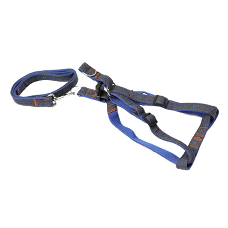 Top dog grooming harness company | Roadreign 7