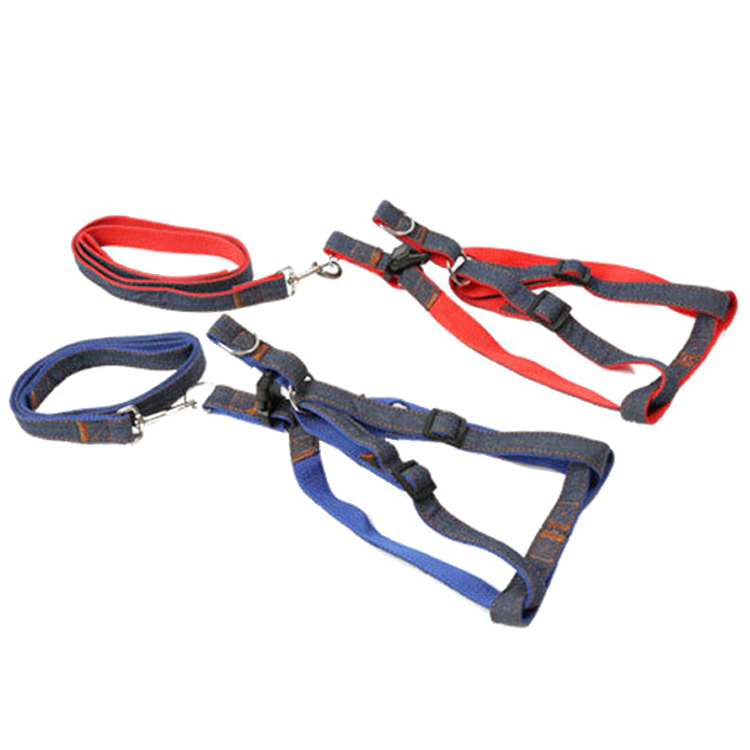 ROADREIGN - Arnés de nailon para perros y gatos pequeños. Collares y correas. 1