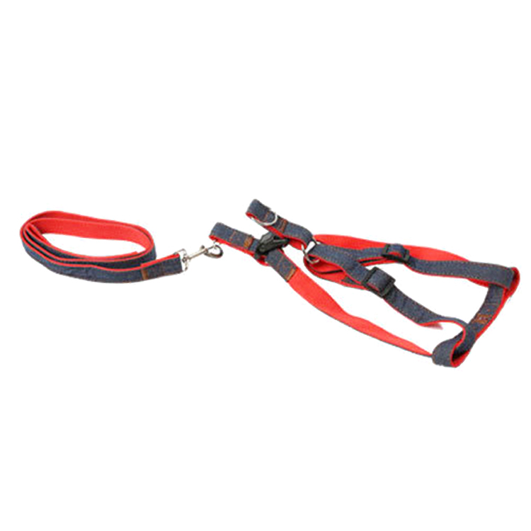 ROADREIGN - Arnés de nailon para perros y gatos pequeños. Collares y correas. 2