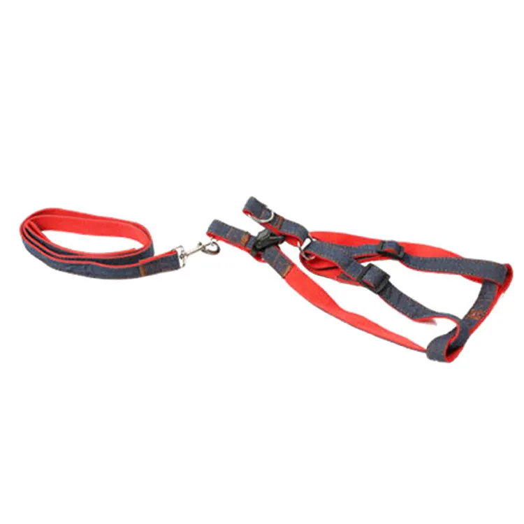 Roadreign Nylon Pet Harness Leash for Small Dogs and Cats - Sustainable, Stocked - Blue/Pink/Black/Red - 120cm - MOQ 100pcs 2