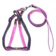 Roadreign Nylon Pet Harness Leash for Small Dogs and Cats - Sustainable, Stocked - Blue/Pink/Black/Red - 120cm - MOQ 100pcs 6