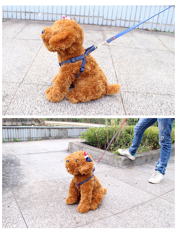 ROADREIGN - Nylon Pet Harness Leash For Small Dog And Cat Pet Collars&Leashes 9